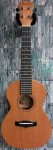 Enya EUC-25D All Mahogany Concert Ukulele