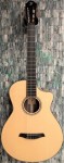 Furch GNc-2-SW Sitka Spruce/Black Walnut Electro-Acoustic Classical Cutaway with LR Baggs EAS-VTC Nylon