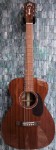 Guild M-120 Westerly