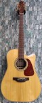 Takamine G Series GD90CE Electro-Acoustic Dreadnought Cutaway, Madagascar Rosewood