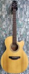Takamine G Series GN20CE Electro-Acoustic NEX Cutaway, Solid Cedar