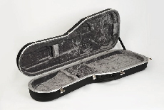 Electric Guitar Cases