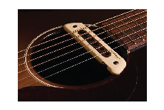Soundhole Pickups
