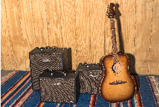 Acoustic Amps