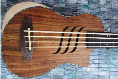 Bass Ukulele
