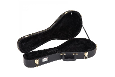 Mandolin Cases