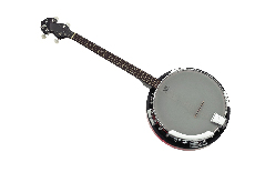 Tenor Banjo