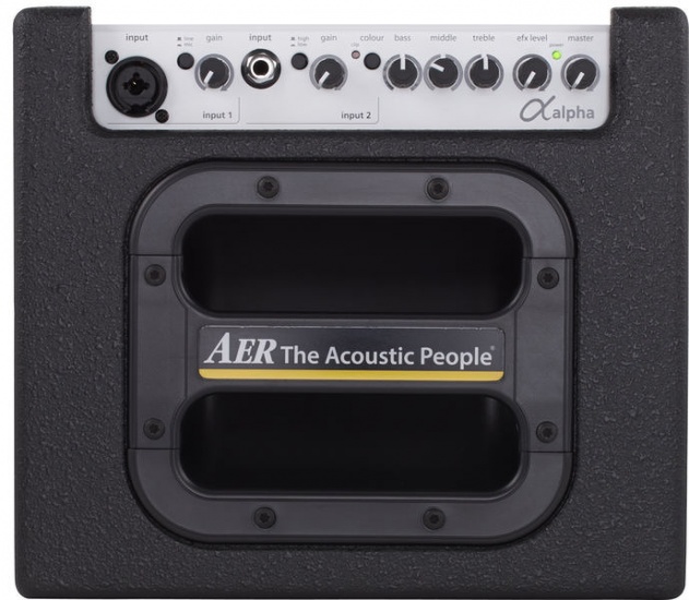 AER Alpha Acoustic Guitar Amp