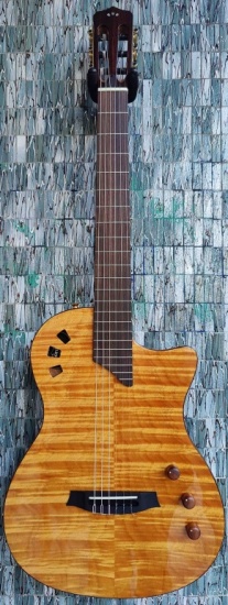 Cordoba Fusion Stage Chambered Electro-Acoustic Classical Cutaway, Natural Amber