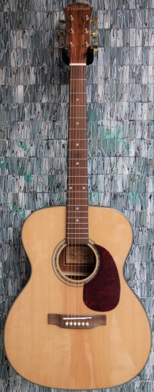 Freshman FA1FNPRE Solid Spruce Top Acoustic