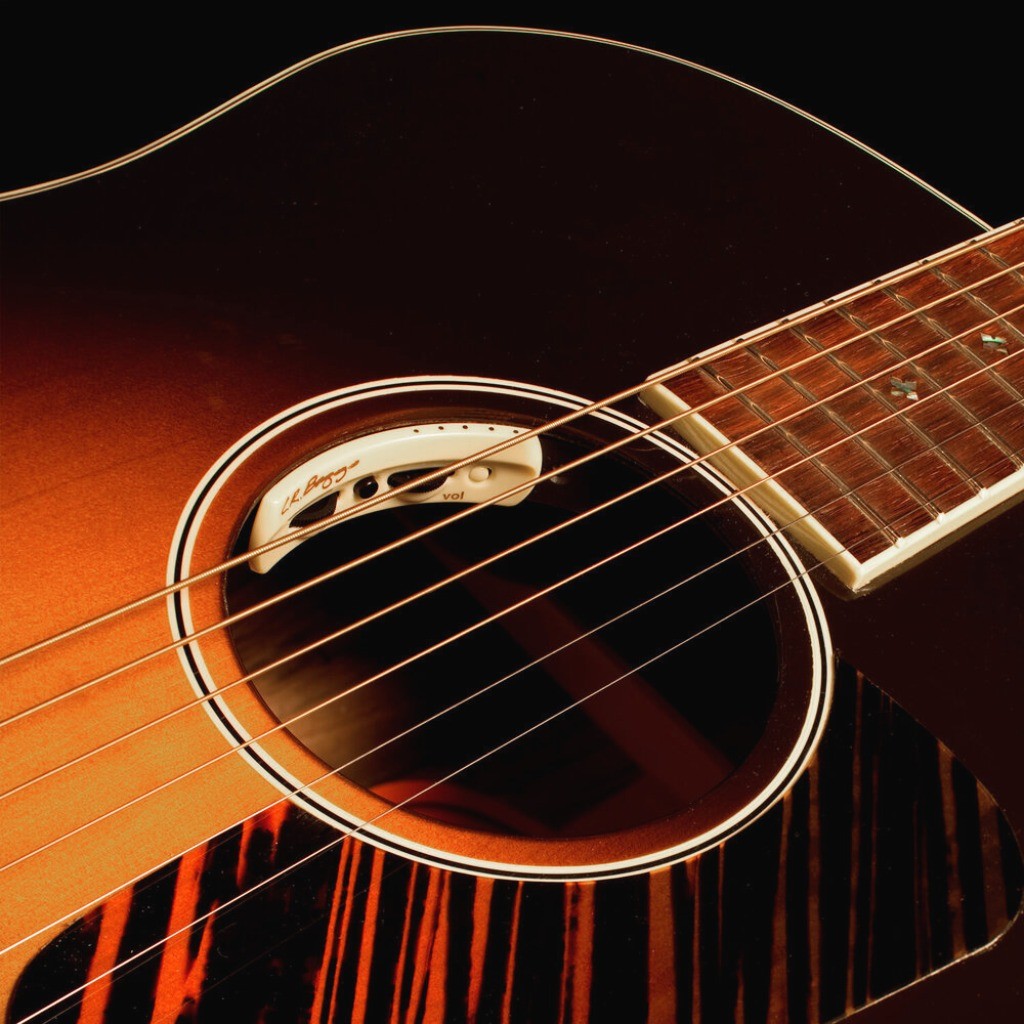 LR Baggs Anthem Acoustic Guitar Undersaddle Pickup and Interior ...