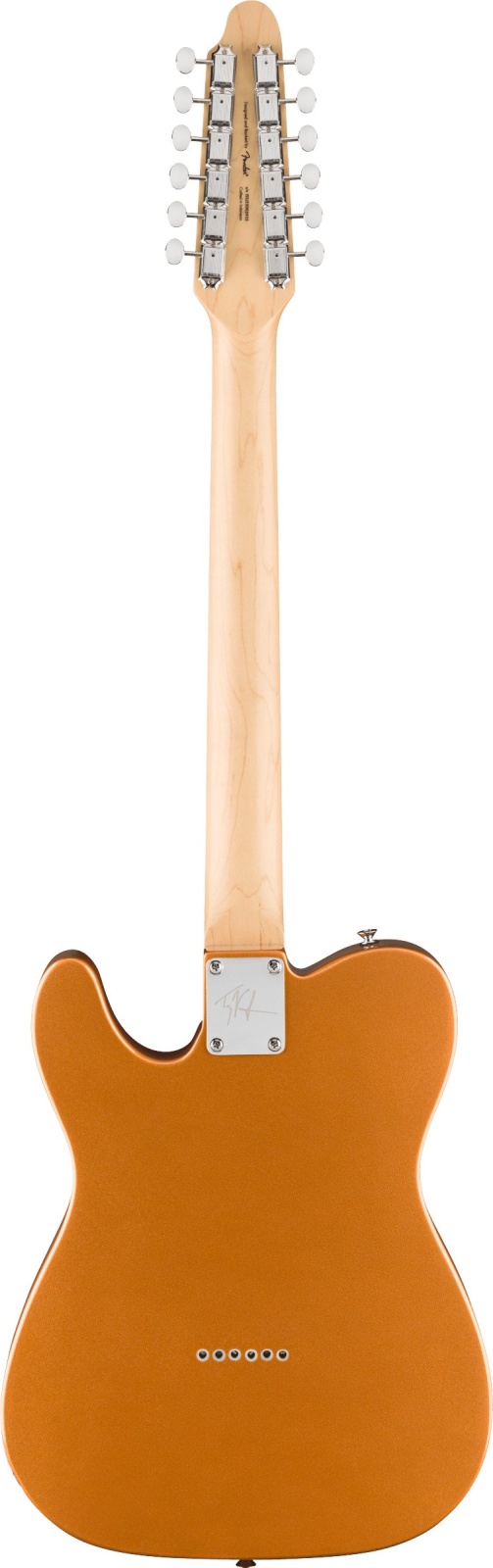 Squier Paranormal Troy Van Leeuwen Telecaster XII, Tortoiseshell