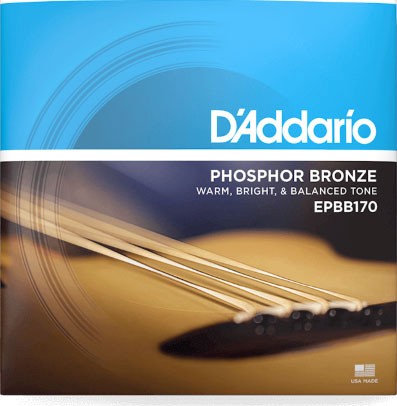 D'Addario EPBB170 Phosphor Bronze Acoustic Bass Strings, Long Scale, 45-100