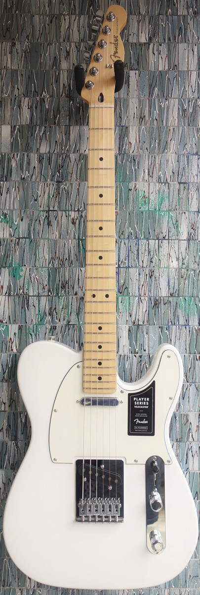 Fender Player Telecaster, Pau Ferro Fingerboard, Polar White