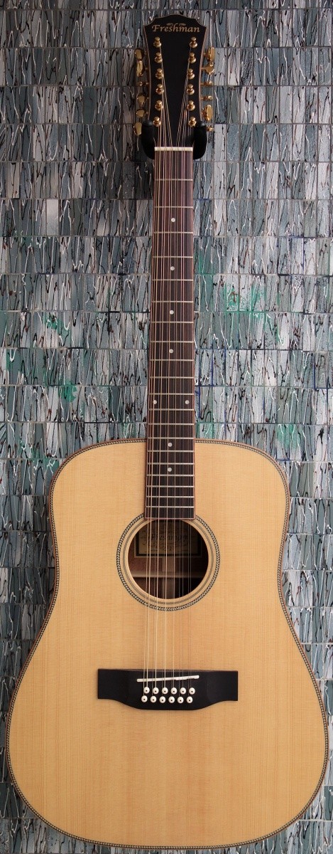 Freshman SONGD12 Dreadnought Acoustic Guitar All Solid 12 String