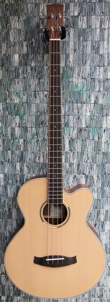 Tanglewood Discovery Exotic Series DBT-AB-BW Electro-Acoustic Bass Cutaway