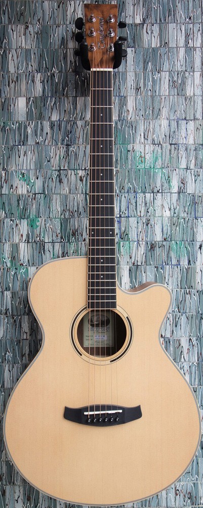 Tanglewood Discovery Series DBT SFCE Black Walnut Electro-Acoustic Super Folk Cutaway