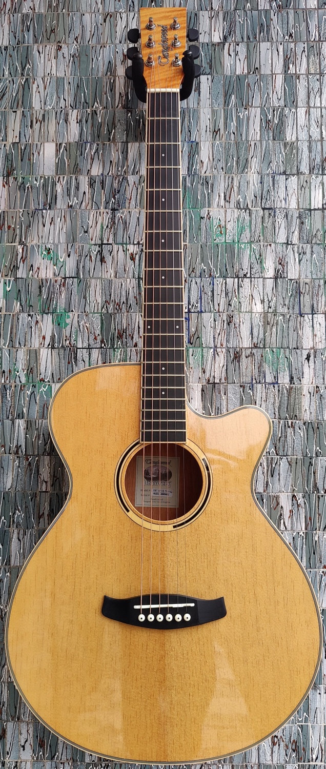 Tanglewood Discovery Series DBT SFCE FMH G Electro-Acoustic Super Folk Cutaway, Flamed Mahogany Gloss