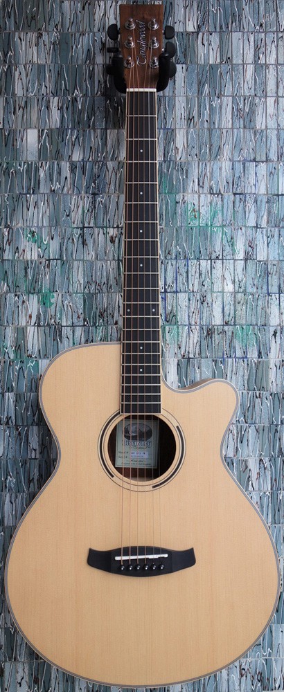 Tanglewood Discovery Series DBT SFCE Pacific Walnut Electro-Acoustic Super Folk Cutaway