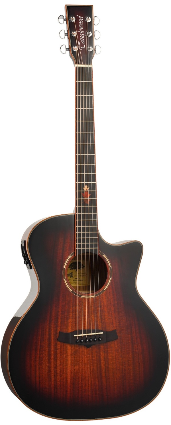 Tanglewood Winterleaf Exotic TWX6CEK Grand Auditorium