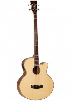 Tanglewood Winterleaf Series TW8 Electro-Acoustic Bass Guitar