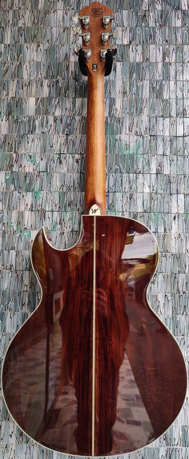 washburn-festival-series-ea20s