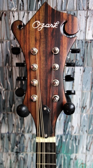 Ozark 2355 F Model Mandolin, Black