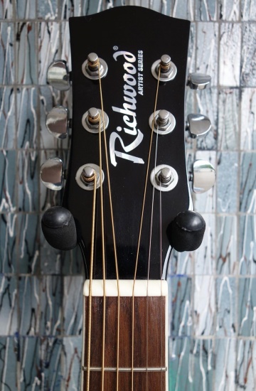 Richwood Artist Series Acoustic Guitar RA-12, Black