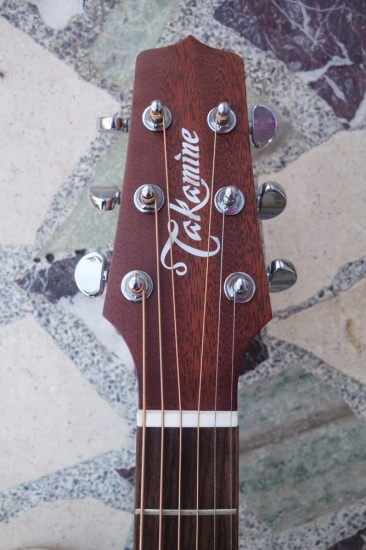 Takamine P1DC Dreadnought Electro-Acoustic Cutaway