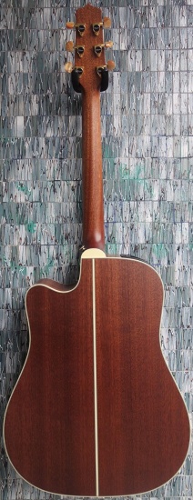 Takamine P3DC Dreadnought Electro-Acoustic Cutaway