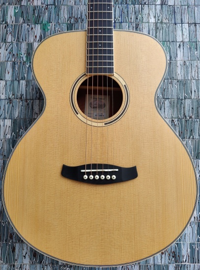 Tanglewood Discovery Exotic Series DBT F HR Orchestra Acoustic, Spruce