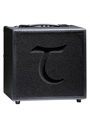 Tanglewood TW6 Acoustic Amplifier