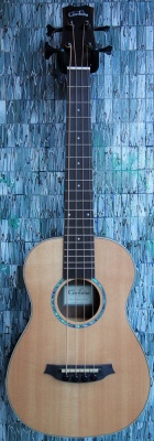 Cordoba Mini II Bass EB-E Spruce and Rosewood Electro-Acoustic Travel Bass Guitar