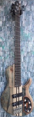 Cort A5 Plus SCMS, Open Pore Trans Grey with Case
