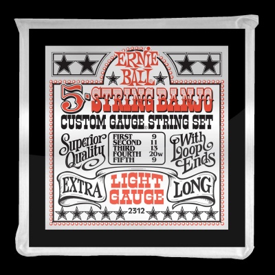 Ernie Ball 5 STRING BANJO LIGHT 9 LOOPEND