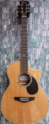 Faith FG1HCE PJE Legacy Earth Electro-Acoustic Cutaway