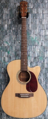Freshman FA1ANPRE Solid Spruce Top Electro-Acoustic Cutaway