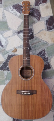 Freshman FALTDWALO All Walnut Acoustic Guitar