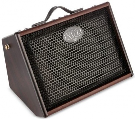 Isuzi GA-25 Portable Acoustic Guitar and Ukulele Amp