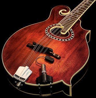 LR Baggs Radius Mandolin Pickup