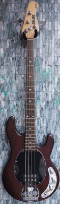 Music Man Sterling SUB Bass, Walnut Satin