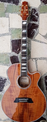 Takamine Thinline Electro-Acoustic Guitar TSP178ACKN, Koa-Bodied Natural Gloss